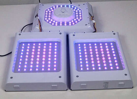アクネのための顔の赤灯PDT LEDライト療法機械24W 6色